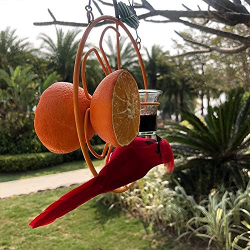 А за птици ALLADINBOX Oriole, 17-инчов Подвесная Метална ясла за птиците, Дизайна отделна купа, А за оранжеви плодове, чудесно за градина, улица, подарък