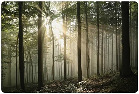 Foldout Горски Подложка за домашни за храна и вода, Сезонни фигура Изгрева на слънцето в Бирена гората Началото на есента,