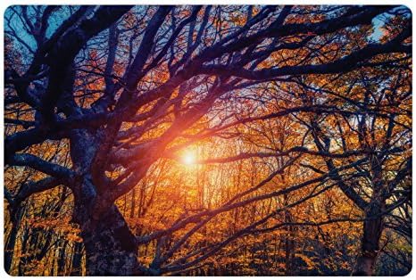 Лунен Горски Подложка за домашни за храна и вода, Величествени Есенни дървета, Светещи на слънцето, Природен парк Карпатская